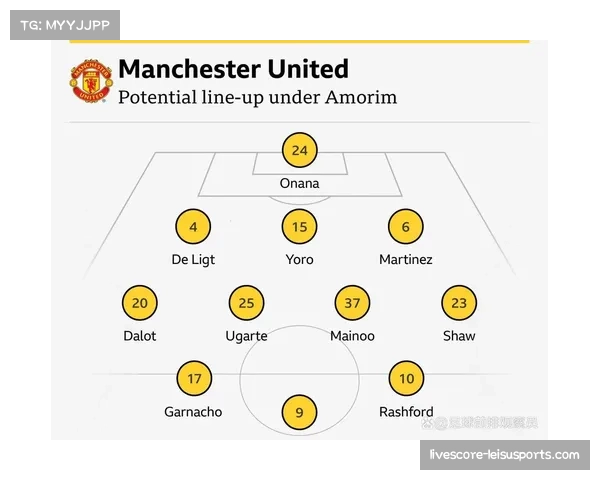 曼联中场革新在即 六千万新援助力战术升级与未来发展